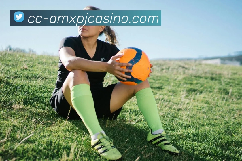 新葡京娱乐APP 封面图